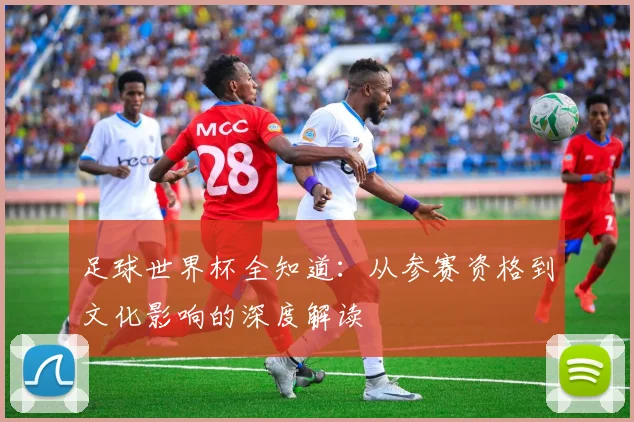 足球世界杯全知道：从参赛资格到文化影响的深度解读