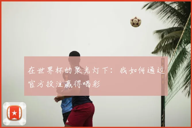 在世界杯的聚光灯下：我如何通过官方投注赢得喝彩