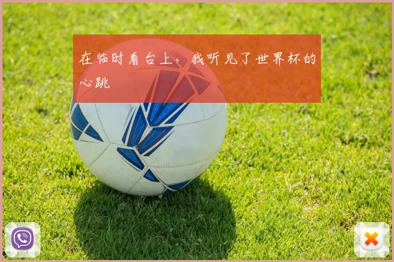 在临时看台上，我听见了世界杯的心跳