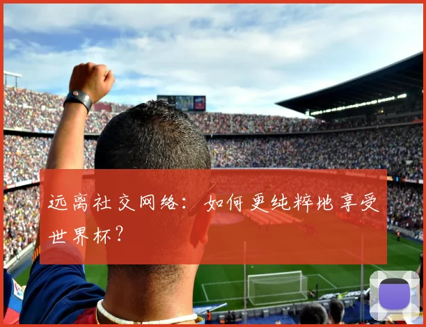 远离社交网络：如何更纯粹地享受世界杯？